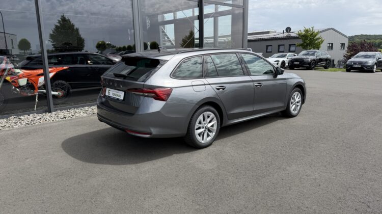 Octavia 2.0 TDI Selection Kamera Keyless LED ACC