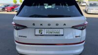 Kodiaq 2,0TSi RS 4×4 Canton Columbus Matrix ACC