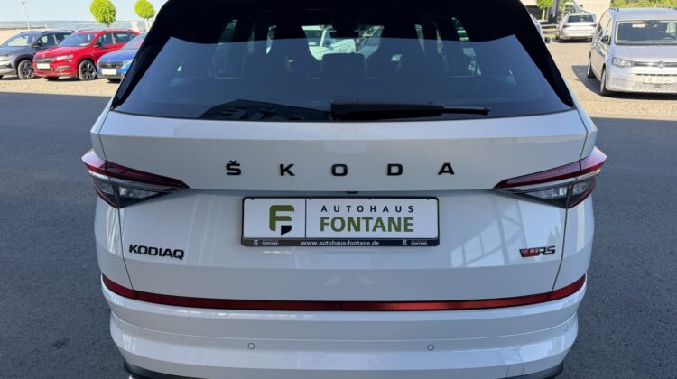 Kodiaq 2,0TSi RS 4×4 Canton Columbus Matrix ACC