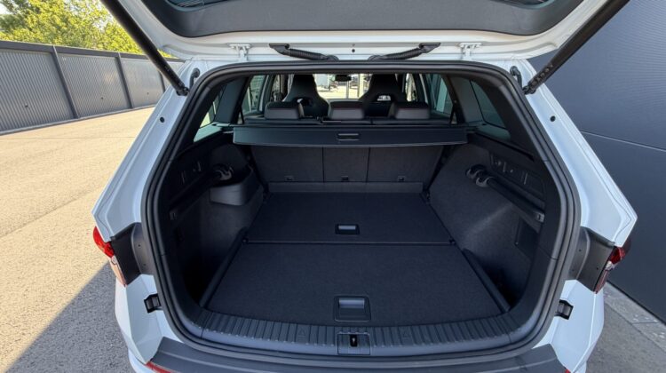 Kodiaq 2,0TSi RS 4×4 Canton Columbus Matrix ACC