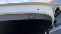 Kodiaq 2,0TSi RS 4×4 Canton Columbus Matrix ACC