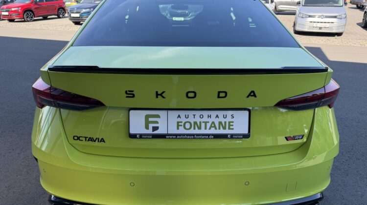 Octavia 2,0TSi RS Limo Facelift AHK Canton Leder