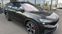 Kodiaq 2.0TSI 4×4 RS AHK Pano Canton Leder Kühl