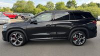 Kodiaq 2.0TSI 4×4 RS AHK Pano Canton Leder Kühl