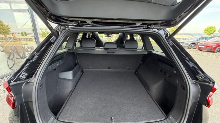 Kodiaq 2.0TSI 4×4 RS AHK Pano Canton Leder Kühl