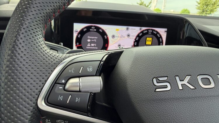 Kodiaq 2.0TSI 4×4 RS AHK Pano Canton Leder Kühl