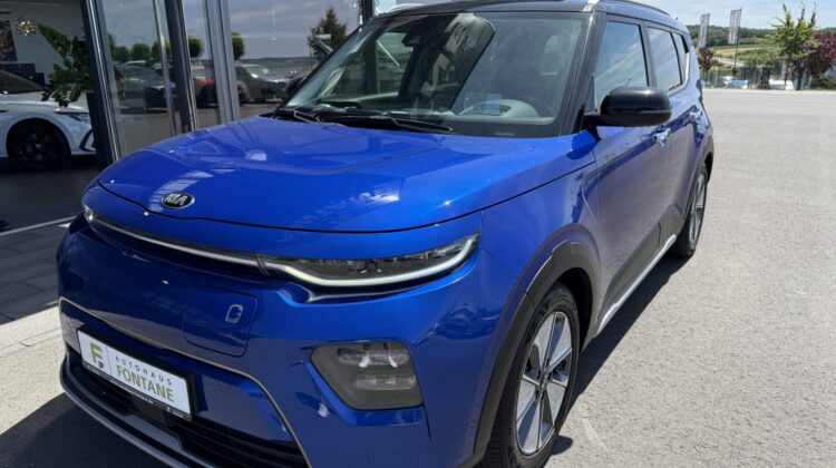 e-Soul 64KWh Spirit HUD Leder+Kühlung Kamera