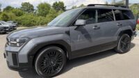 Santa Fe Hybrid 4WD Blackline Pano Leder Kühlung