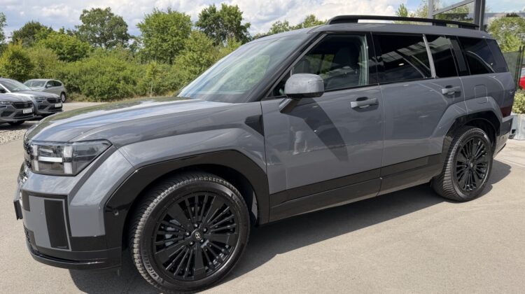 Santa Fe Hybrid 4WD Blackline Pano Leder Kühlung