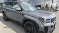 Santa Fe Hybrid 4WD Blackline Pano Leder Kühlung