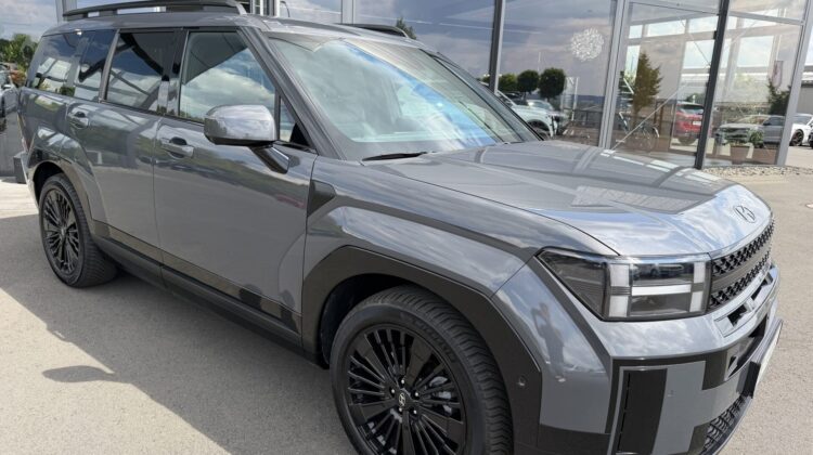 Santa Fe Hybrid 4WD Blackline Pano Leder Kühlung