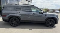 Santa Fe Hybrid 4WD Blackline Pano Leder Kühlung