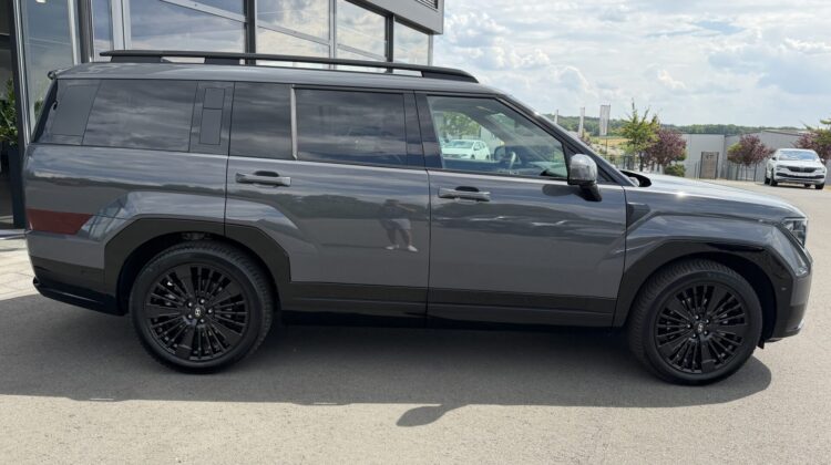 Santa Fe Hybrid 4WD Blackline Pano Leder Kühlung