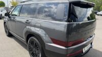 Santa Fe Hybrid 4WD Blackline Pano Leder Kühlung