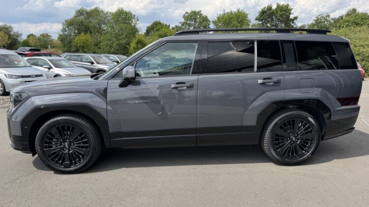 Santa Fe Hybrid 4WD Blackline Pano Leder Kühlung
