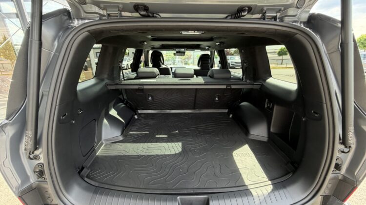 Santa Fe Hybrid 4WD Blackline Pano Leder Kühlung