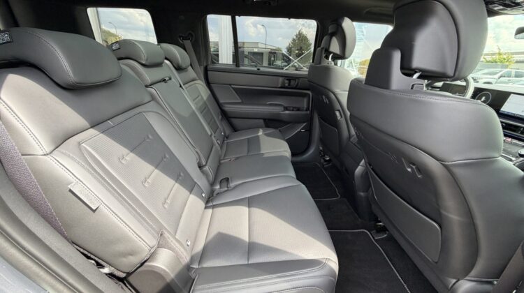 Santa Fe Hybrid 4WD Blackline Pano Leder Kühlung