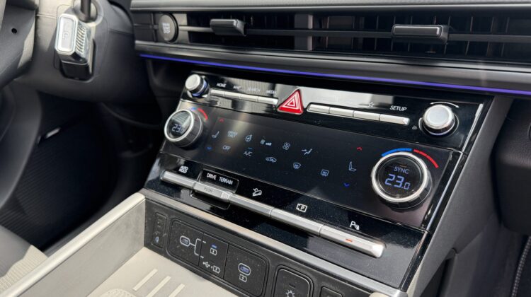 Santa Fe Hybrid 4WD Blackline Pano Leder Kühlung