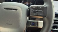 Santa Fe Hybrid 4WD Blackline Pano Leder Kühlung