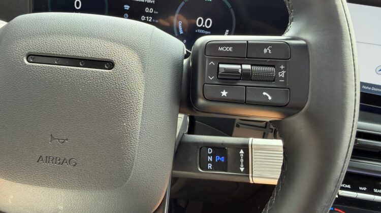 Santa Fe Hybrid 4WD Blackline Pano Leder Kühlung