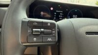 Santa Fe Hybrid 4WD Blackline Pano Leder Kühlung