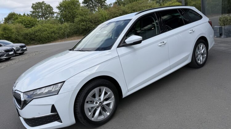 Octavia2.0 TDI Selection Kamera Keyless LED ACC