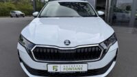 Octavia2.0 TDI Selection Kamera Keyless LED ACC