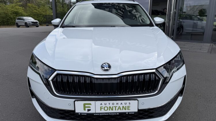 Octavia2.0 TDI Selection Kamera Keyless LED ACC