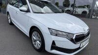 Octavia2.0 TDI Selection Kamera Keyless LED ACC