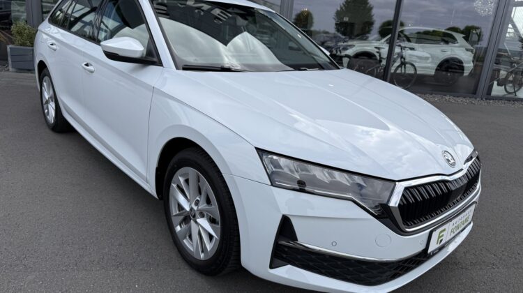 Octavia2.0 TDI Selection Kamera Keyless LED ACC