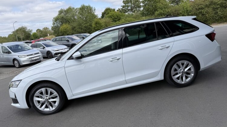 Octavia2.0 TDI Selection Kamera Keyless LED ACC