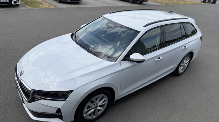 Octavia2.0 TDI Selection Kamera Keyless LED ACC