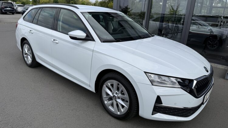 Octavia2.0 TDI Selection Kamera Keyless LED ACC