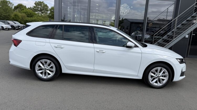 Octavia2.0 TDI Selection Kamera Keyless LED ACC