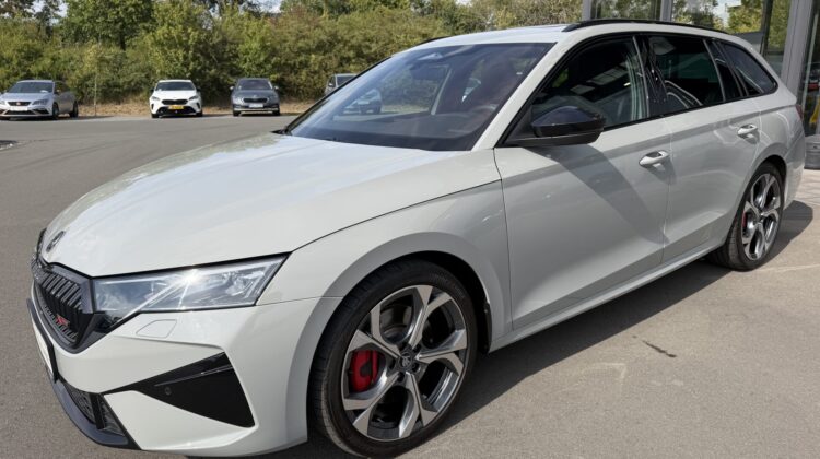 Octavia Kombi 2.0TSI RS Pano AHK Leder Canton