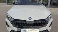 Octavia Kombi 2.0TSI RS Pano AHK Leder Canton