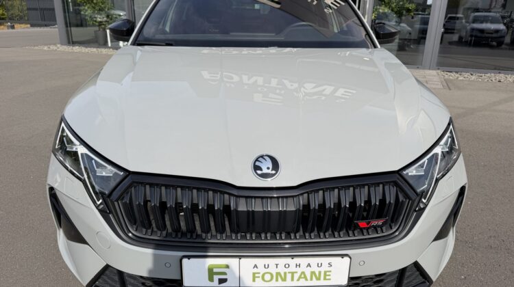 Octavia Kombi 2.0TSI RS Pano AHK Leder Canton