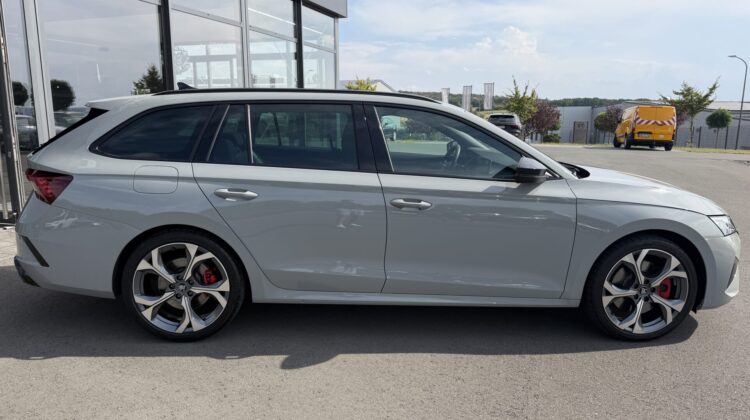 Octavia Kombi 2.0TSI RS Pano AHK Leder Canton