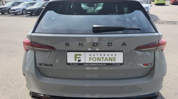 Octavia Kombi 2.0TSI RS Pano AHK Leder Canton