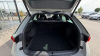 Octavia Kombi 2.0TSI RS Pano AHK Leder Canton
