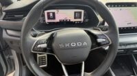 Octavia Kombi 2.0TSI RS Pano AHK Leder Canton