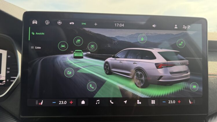 Octavia Kombi 2.0TSI RS Pano AHK Leder Canton