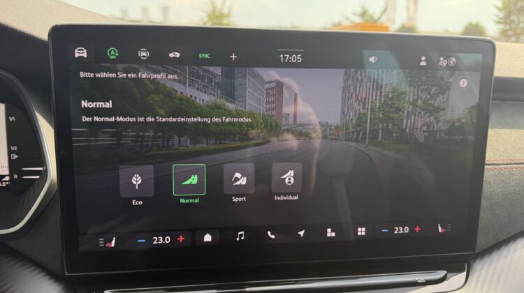 Octavia Kombi 2.0TSI RS Pano AHK Leder Canton