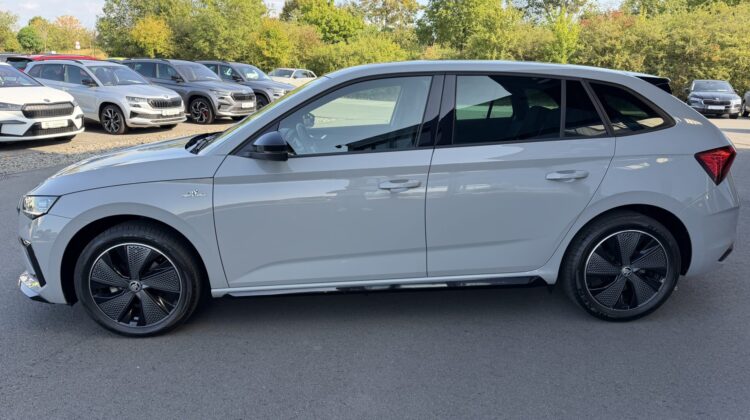 Scala 1,5TSi MonteCarlo Pano Sitzhz Kamera