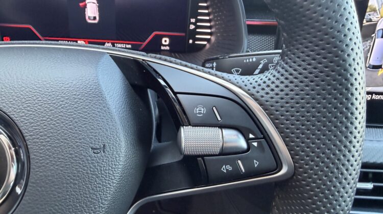 Scala 1,5TSi MonteCarlo Pano Sitzhz Kamera