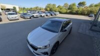 Scala 1,5TSi MonteCarlo Pano Sitzhz Kamera