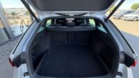 Octavia Kombi 2,0TSi RS Pano AHK 19″ Matrix ACC