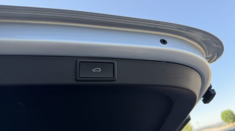 Octavia Kombi 2,0TSi RS Pano AHK 19″ Matrix ACC