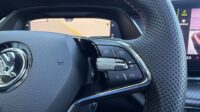 Octavia Kombi 2,0TSi RS Pano AHK 19″ Matrix ACC