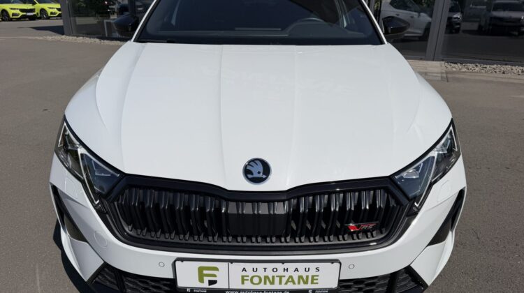 Octavia Limo 2.0TSI RS Facelift AHK Matrix ACC